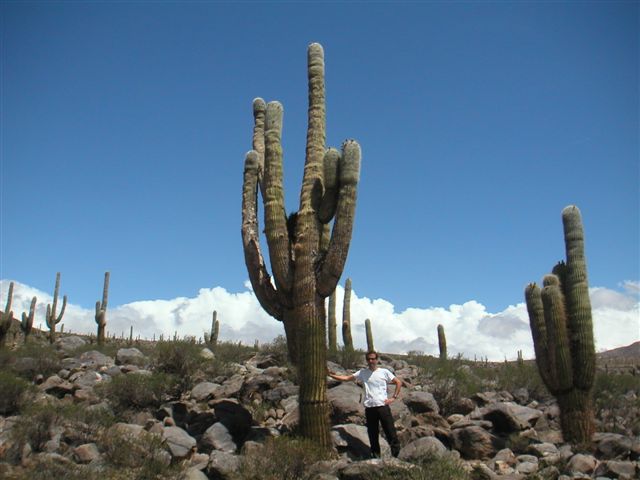Arno bij cactussen