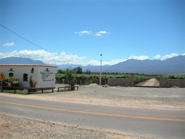 Bodega Etchart Cafayate