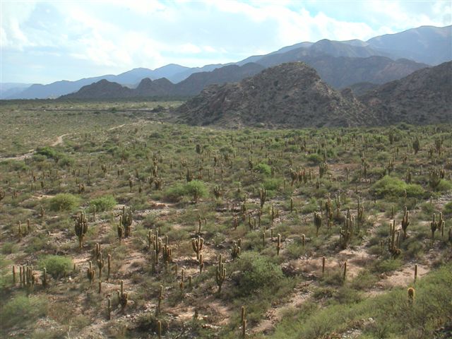 landschap, omgeving Quilmes ruines