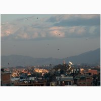00794-nepal-vliegers-boven-kathmandu.jpg