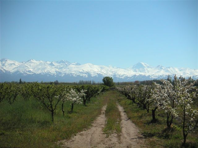 Valle de Uco Mendoza Argentina